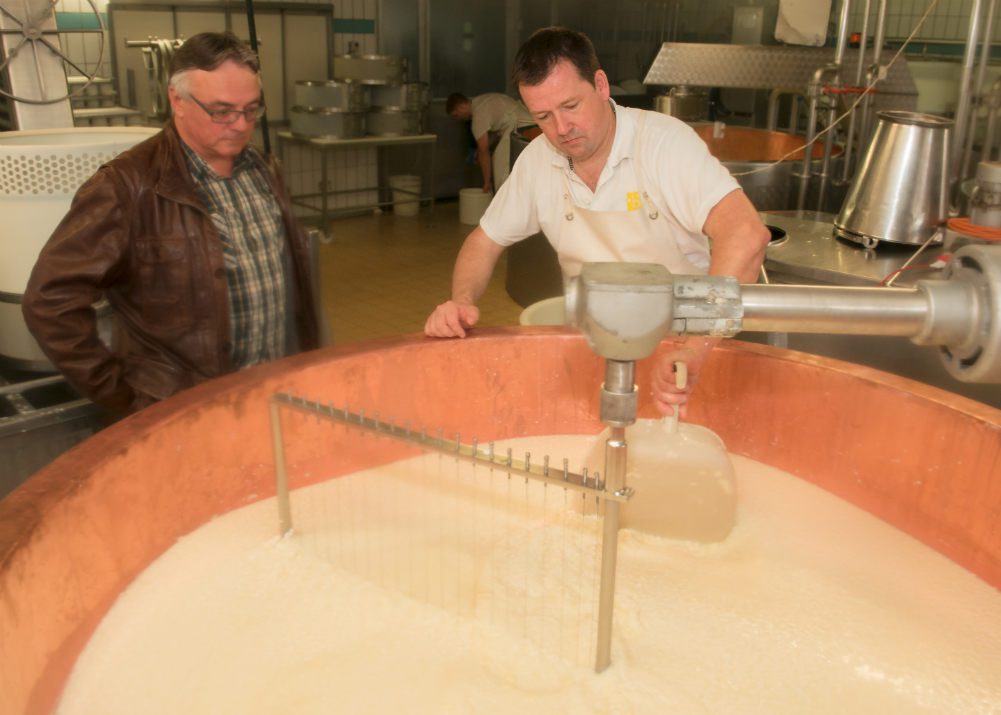 Production du fromage Vallgrotte