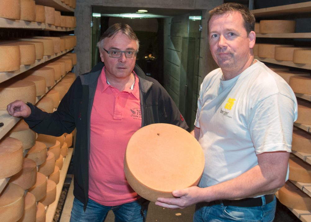Production du fromage Vallgrotte