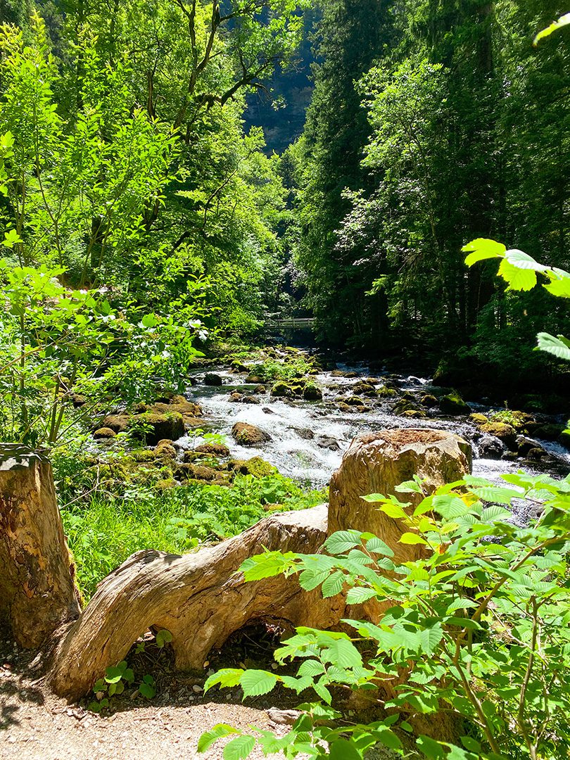 L'Orbe le long du sentier d'accès aux Grottes de Vallorbe