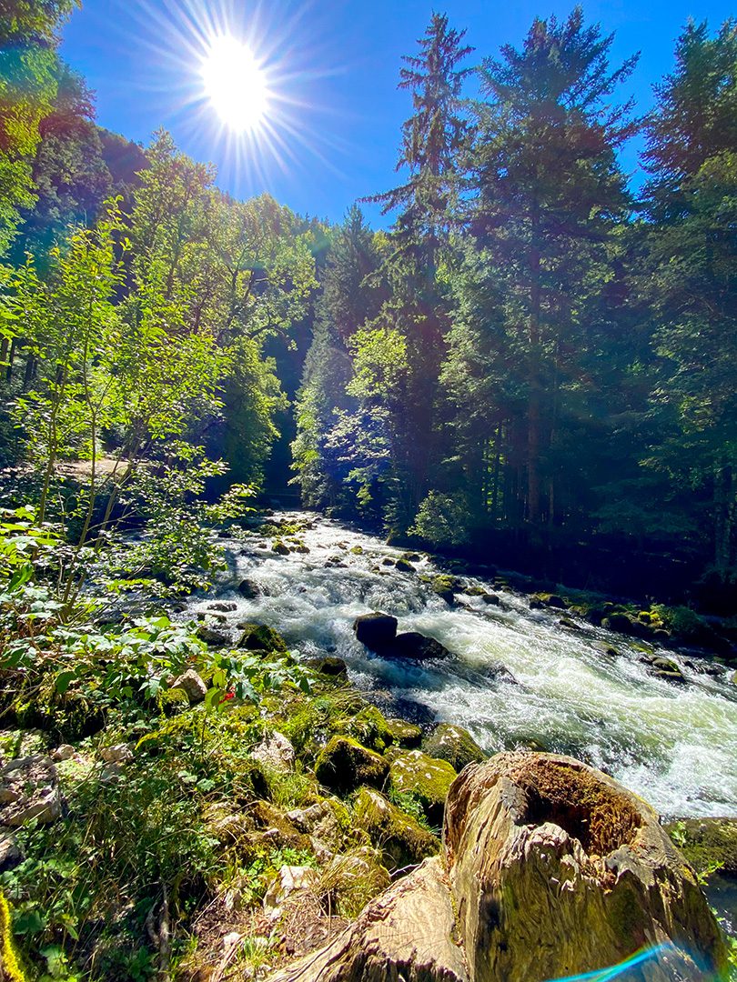 L'Orbe le long du sentier d'accès aux Grottes de Vallorbe