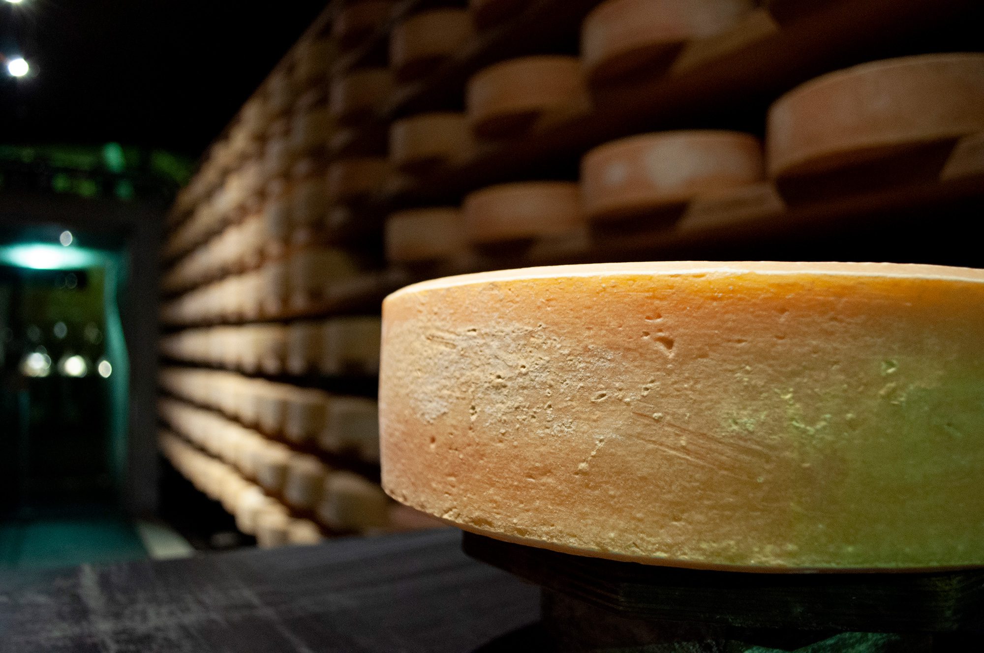 Gros plan d'une meule de fromage Vallgrotte