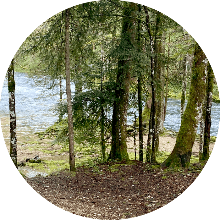 Forêt des Grottes de Vallorbe