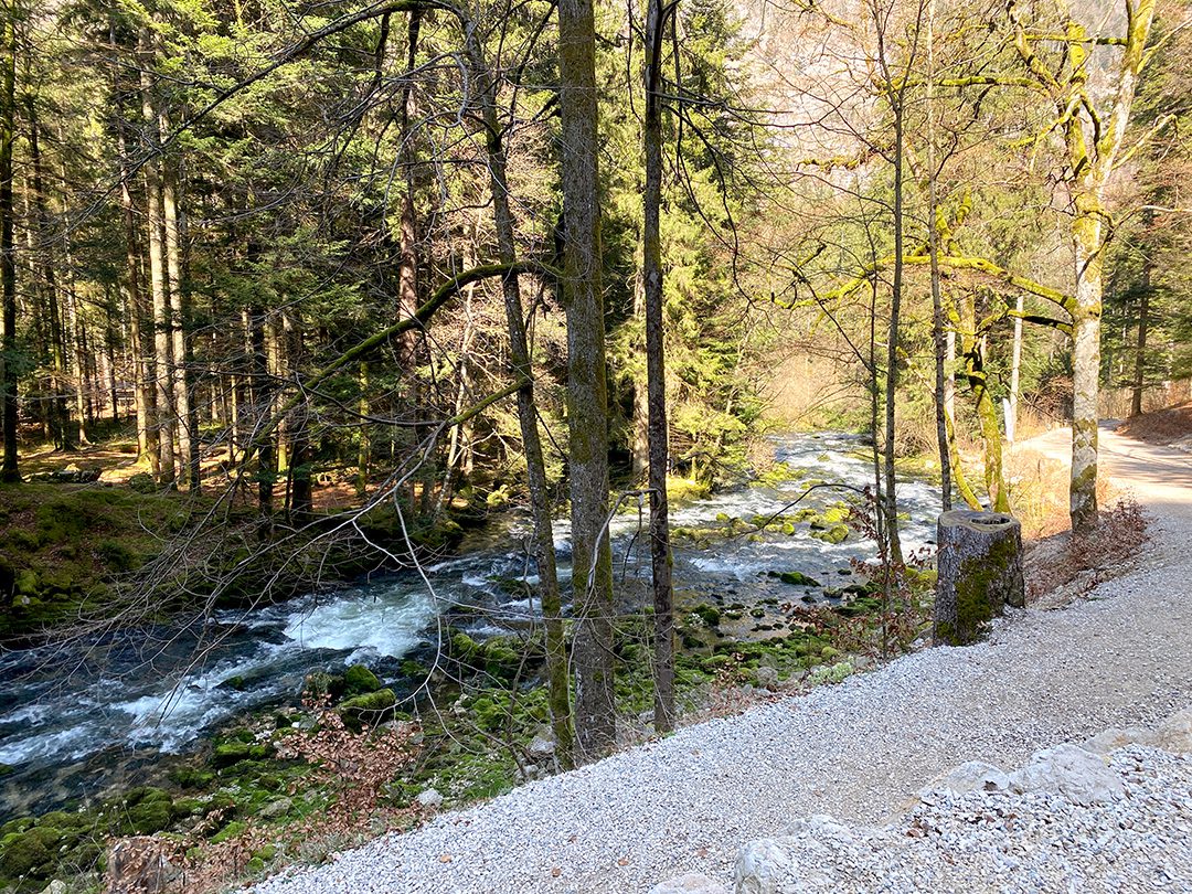 L'Orbe le long du sentier d'accès aux Grottes de Vallorbe