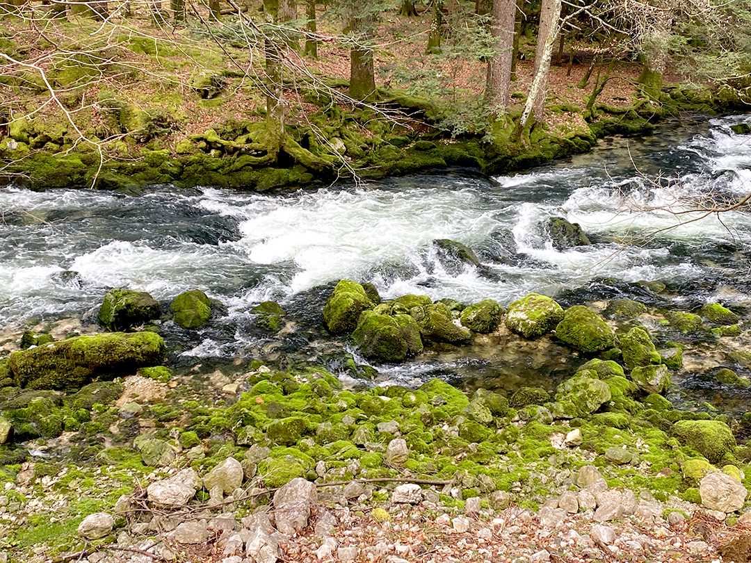 L'Orbe le long du sentier d'accès aux Grottes de Vallorbe