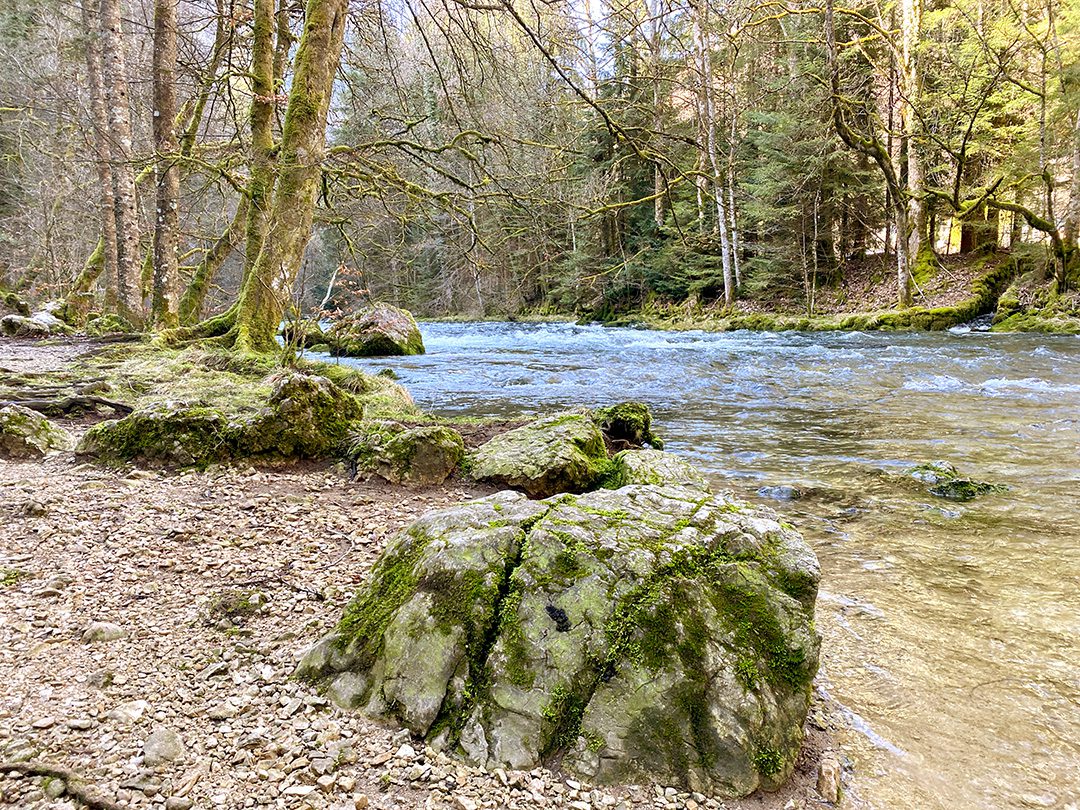 L'Orbe le long du sentier d'accès aux Grottes de Vallorbe